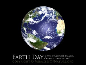 Earth Day Wallpaper by butterfly-insect.com/blog