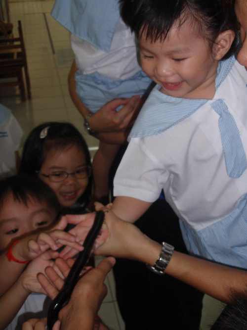 Toot toot train...millipede's coming...