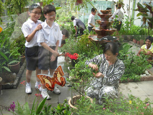 kim-sen-school-butterfly-garden-teacher School teacher