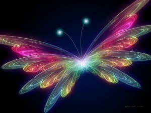 glowing-butterfly-lovely-insect