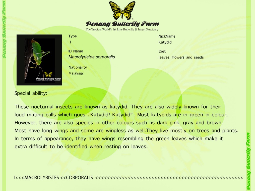insect2blog edit 2