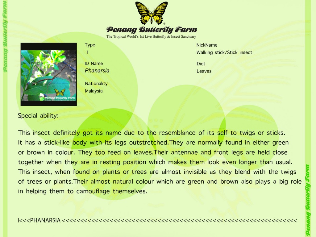 insect3blog edit 3